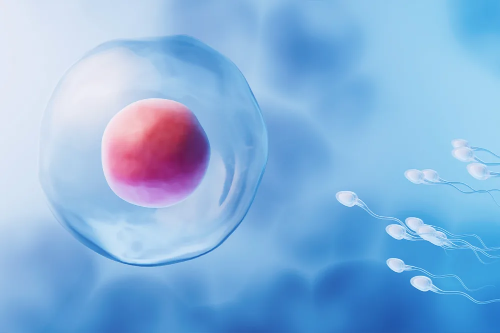 Tüp Bebek Tedavisinde Sperm Seçimi Nasıl Olur?