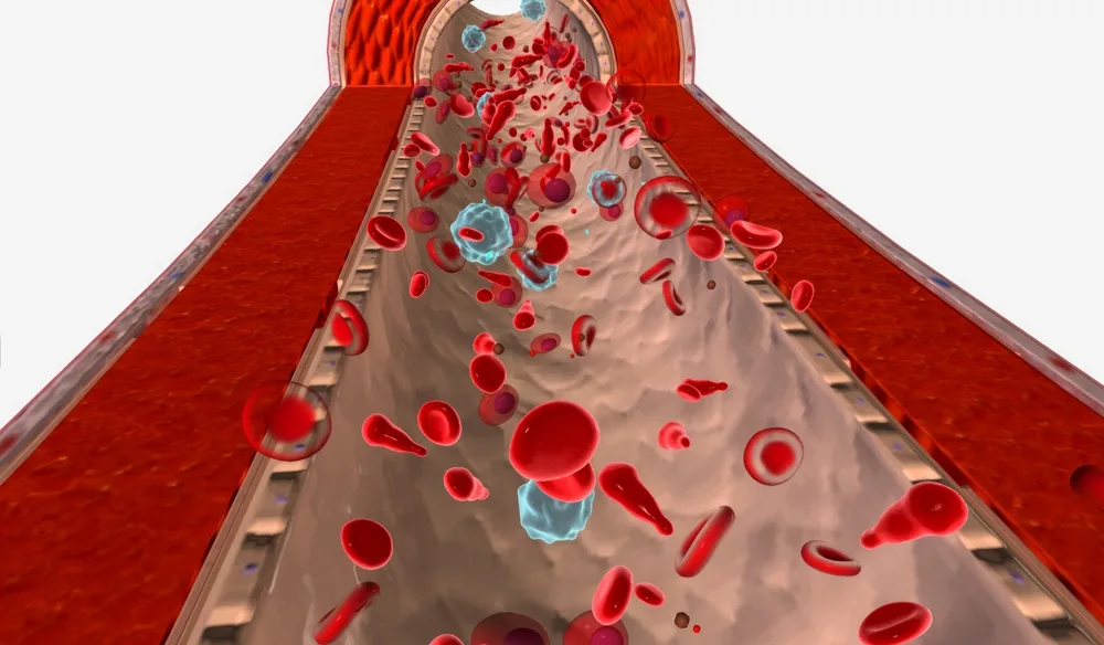 Talasemi ve Talasemi Taşıyıcılık Testi Nedir?