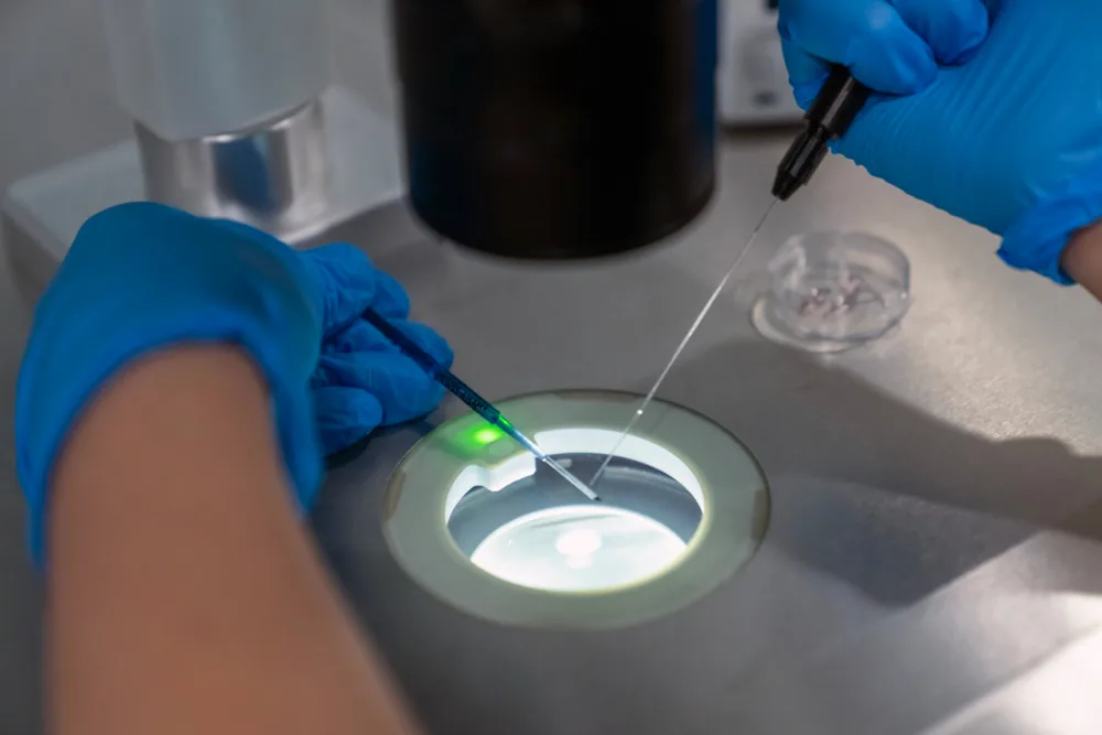 Mikroenjeksiyon (ICSI)