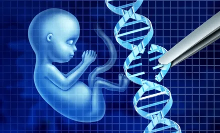 Embriyo Kalitesi Nedir? Nasıl Değerlendirilir ve Gebelik Başarısını Etkiler mi?