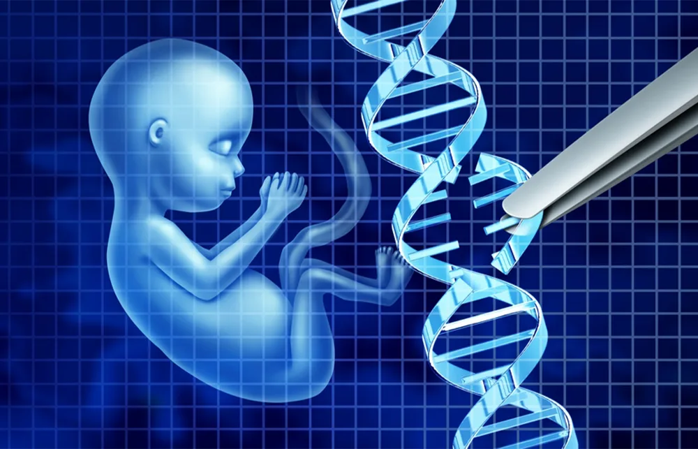 Embriyo Kalitesi Nedir? Nasıl Değerlendirilir ve Gebelik Başarısını Etkiler mi?