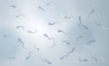 Sperm Kalitesi Nedir? Sperm Kalitesi Nasıl Değerlendirilir?